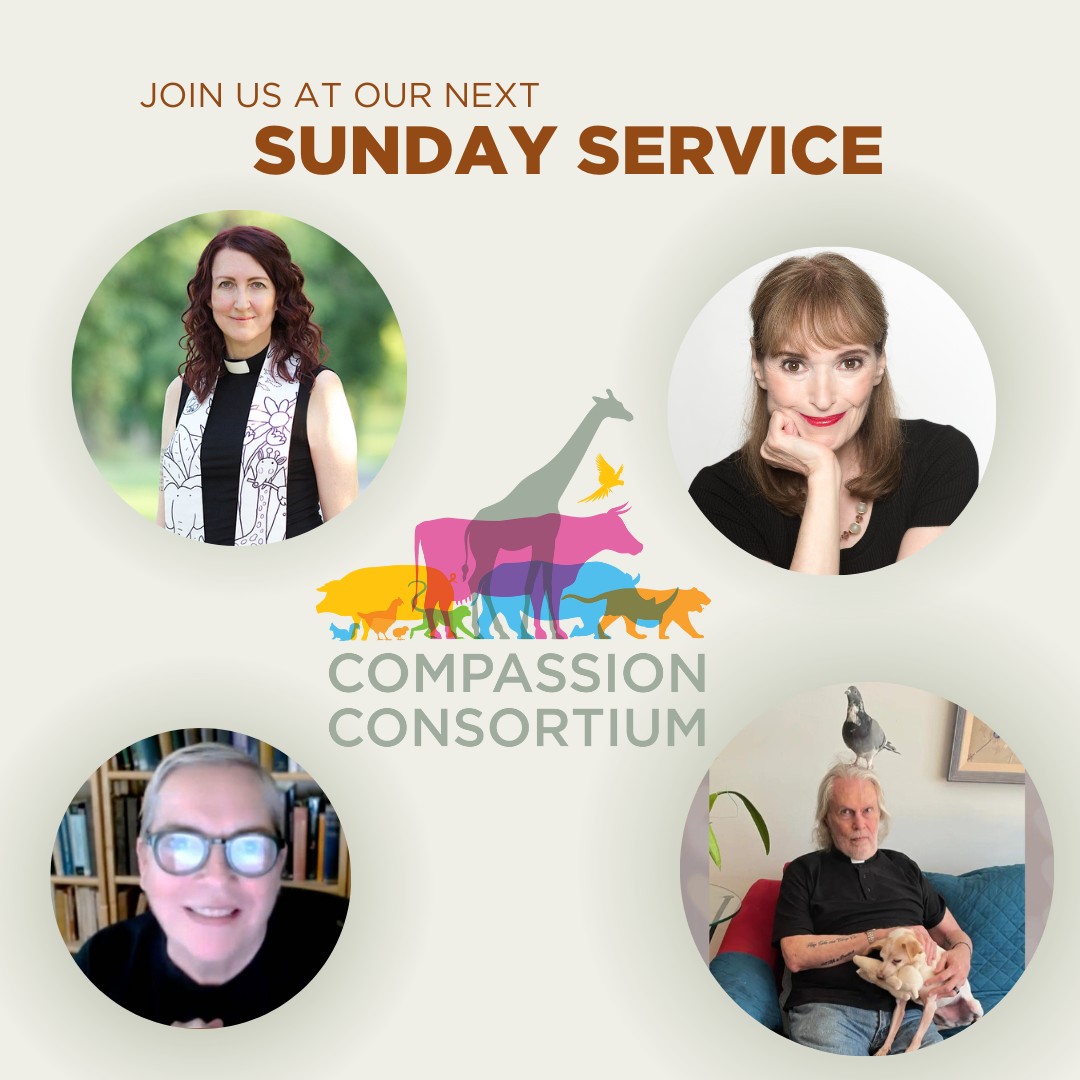 The Compassion Consortium's Sunday Services